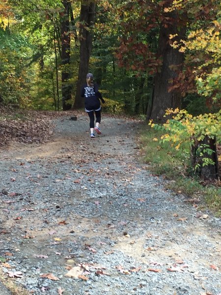 Upper end of Battle Branch Trail