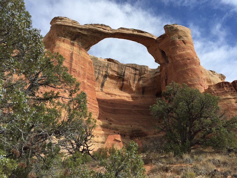 Rattlesnake Arch