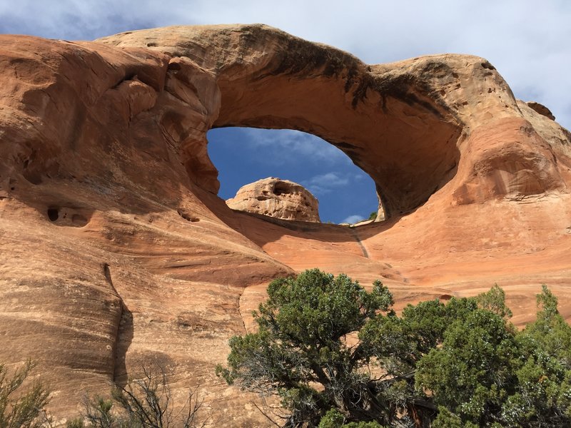 Cedar arch (or First Arch). The scramble goes up the middle.