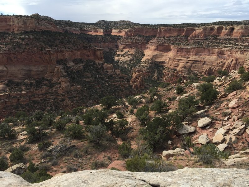 Rattlesnake Canyon