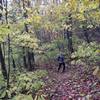 In the company of paw paw trees on the Scenic River Trail.