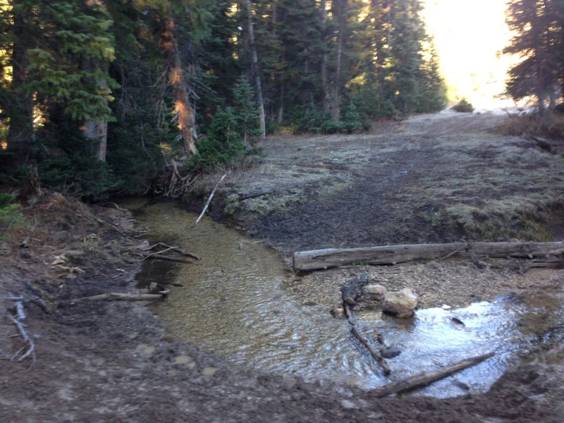 A stream crossing up Steam Mill Hollow.