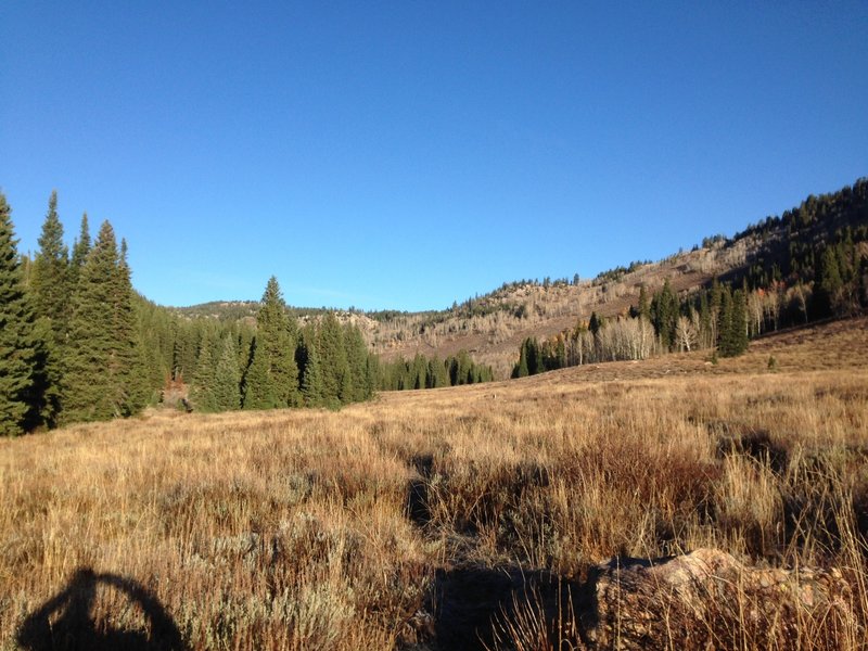 A view of the meadows and forests up Steam Mill Hollow.