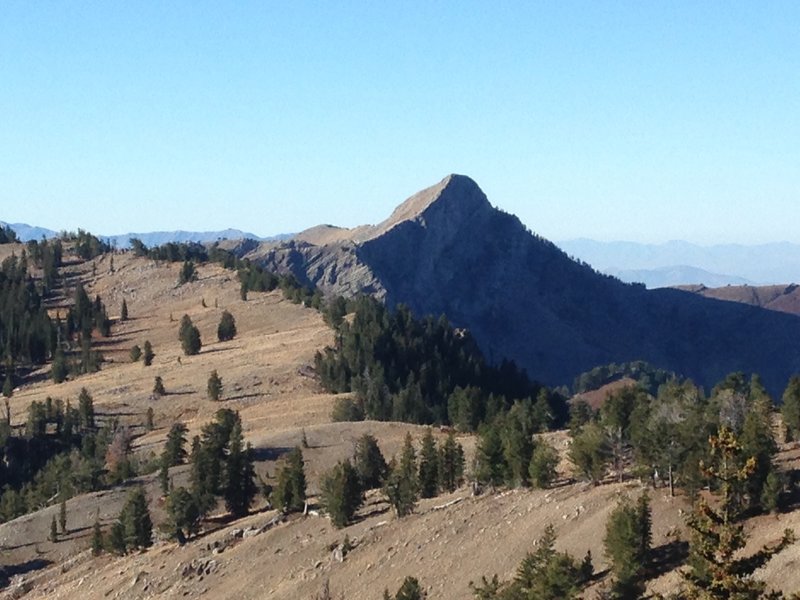 Another view of Cherry Peak and the ridge above White Pine Canyon, this time from Pika Peak.