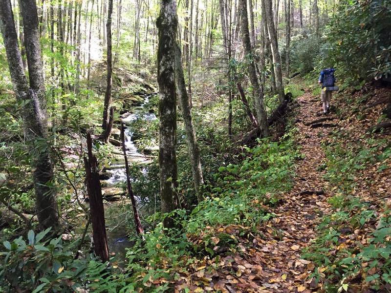 Hiking along Big Creek Trail.