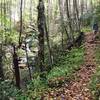 Hiking along Big Creek Trail.