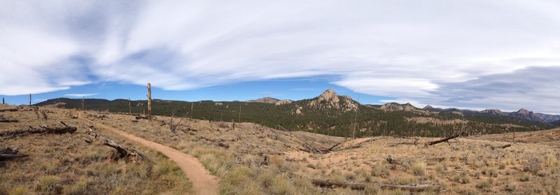 Views from the Shinglemill Trail #725.