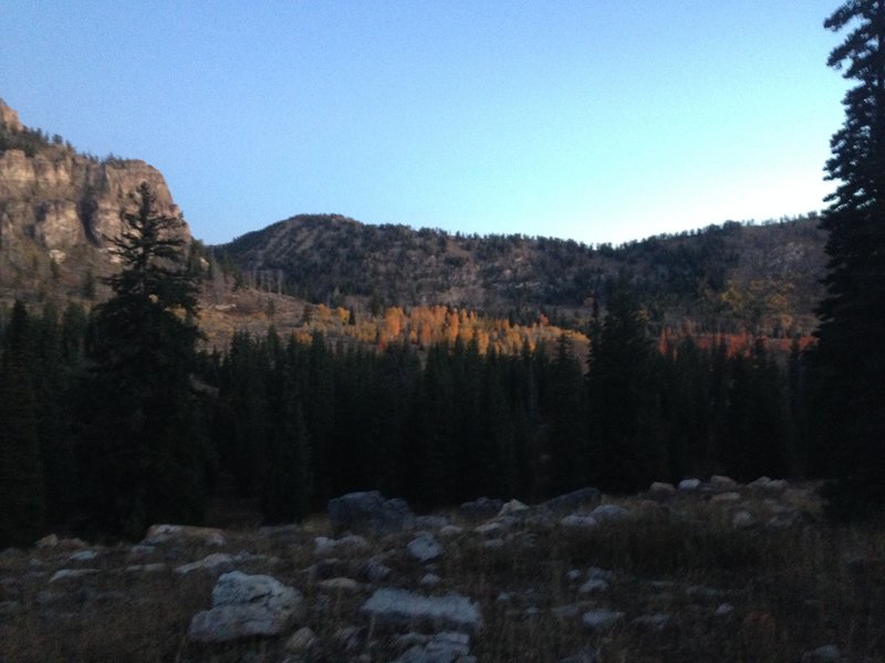 Some beautiful fall colors in White Pine Canyon (from afar)