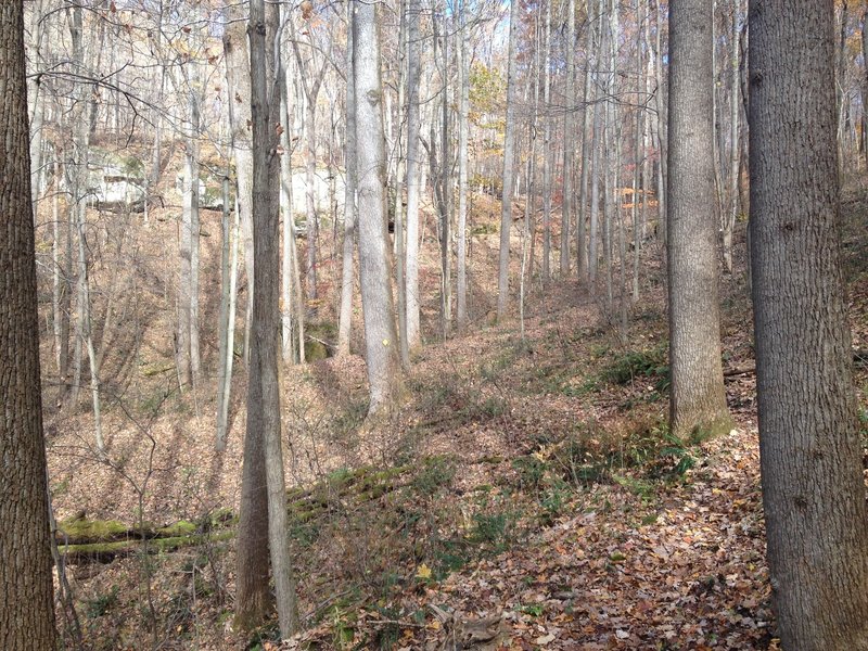 Sandstone rock formations in the distance- one of many the Greenwood Trail passes!