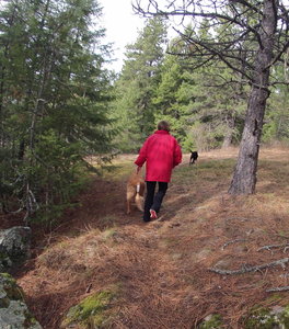 Early spring on the Dover Overlook Trail with Nancy.