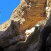 White owl nest, as seen from the Shoreline and White Owl Canyon trail.