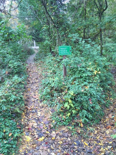 Battle Branch Trail entrance from Glendale Drive. This trail entrance borrows about 20 feet on a private driveway to connect from Glendale Drive.