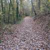 Upper Trail portion of Battle Branch Trail -- wide, straight and flat! This segment is more likely to be dry, compared to the Lower Trail portion, after rains.