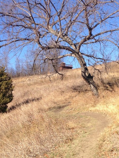 View up towards the infantry post blockhouses.