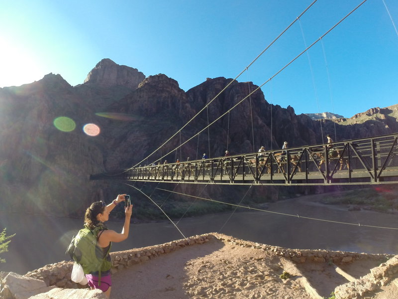 Get across before the mules start crossing this bridge on the Bright Angel Trail!  Such a beautiful sight!