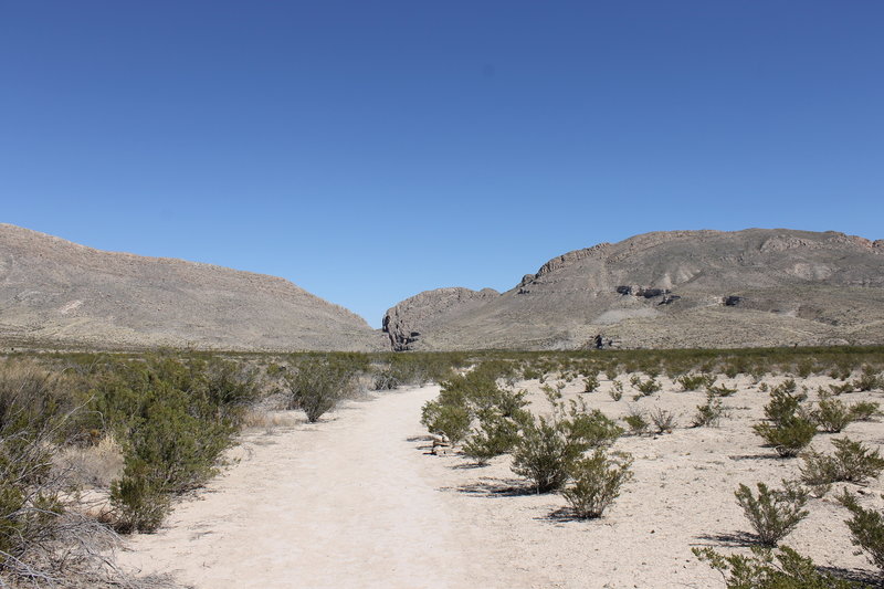 View from Dog Canyon parking lot.