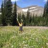 Taking a short break to do a handstand in a field of flowers.