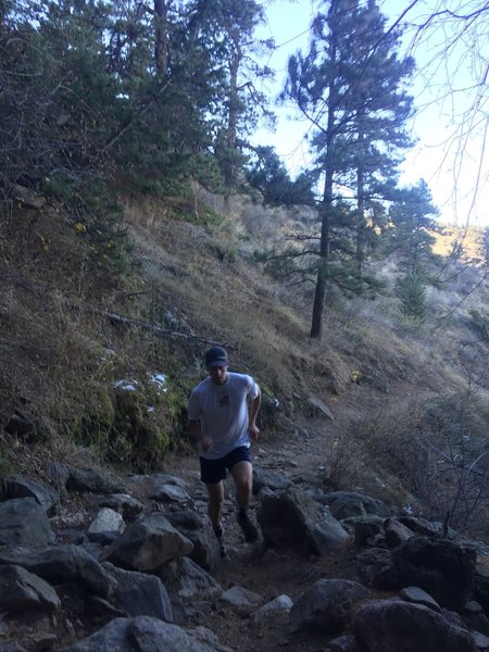 Working up a steep section of Shorthorn Trail.