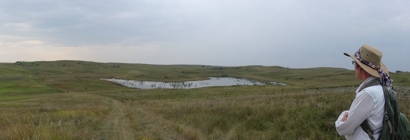 Rolling hills and wetlands.