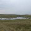 Rolling hills and wetlands.