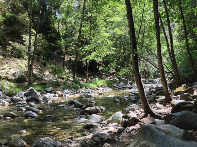 Crosswords at the Big Sur River on the Pine Ridge Trail. Downriver, are the hot springs. Upriver, lies the campsite.