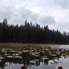 Elephant Rock Lake