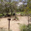 You might have to share your East Rim campsite with a few cacti.