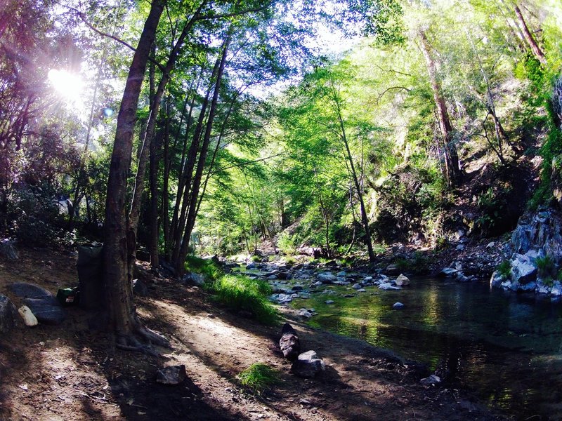 Sunrise along the Big Sur River at the Sykes Hot Springs location.