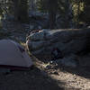 Ten Lakes campsite.