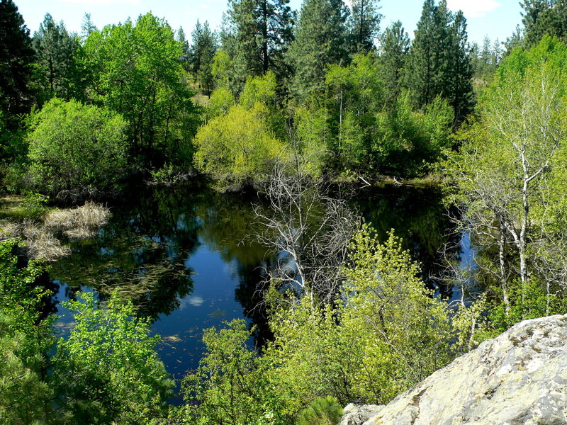 The East/West Pond area is primarily a "pond" during spring and early summer. It typically drys out in mid-late summer. Lots of aquatic wildlife make this a fun place for kids!