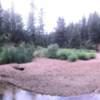 A refreshing watering hole on your return route on the North Fork Trail.