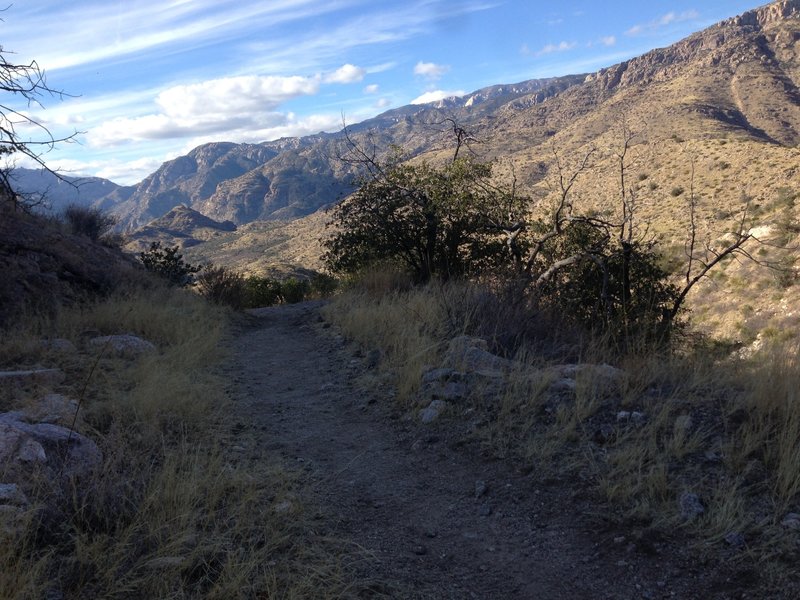 Hiking west along Sycamore Reservoir Trail.