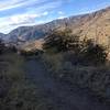 Hiking west along Sycamore Reservoir Trail.