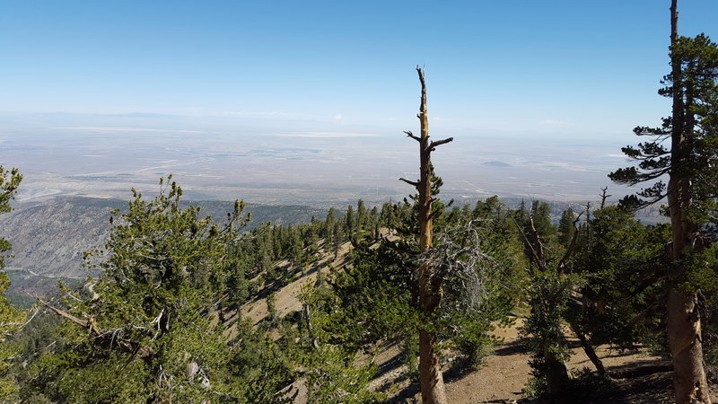 View from the PCT