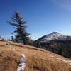 Grassy slopes and snowy peaks.