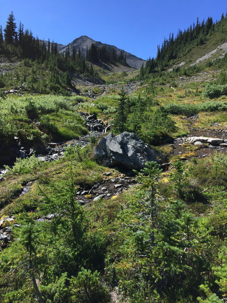 The beautiful meadow just below Gray Wolf Pass!