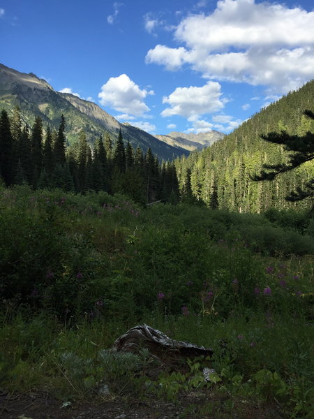 Looking east towards Gray Wolf Pass from Bear Camp.