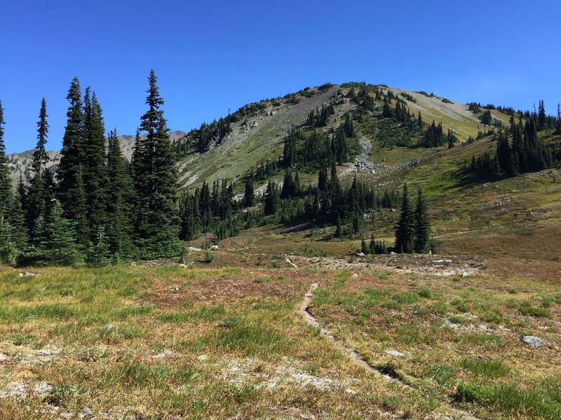 Looking towards Lost Peak from the top of Lost Pass.