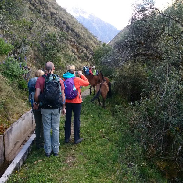 Horses along the trail. They are not wild, but they do run free. Give them lots of space, as they can be dangerous. Note the irrigation system - this is the route of the original Inca irrigation system.