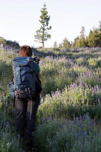 Hiking on the Ten Lakes Trail!