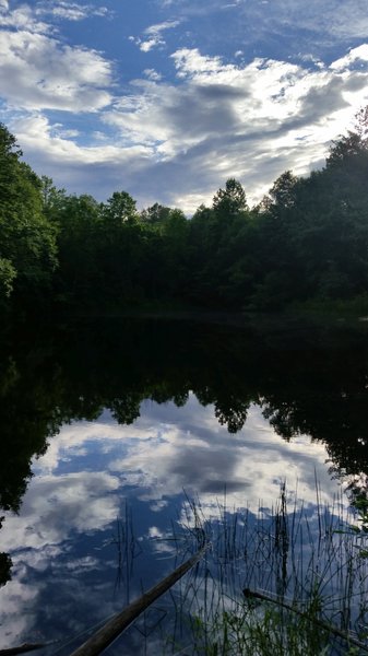 Sunfish Pond.