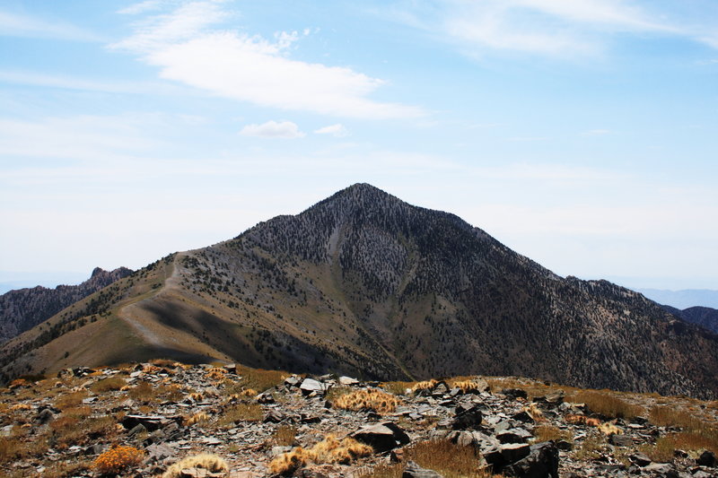 Telescope Peak