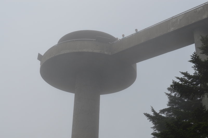 Below the observation deck.  There is a landing there which would make a great spot for lunch.