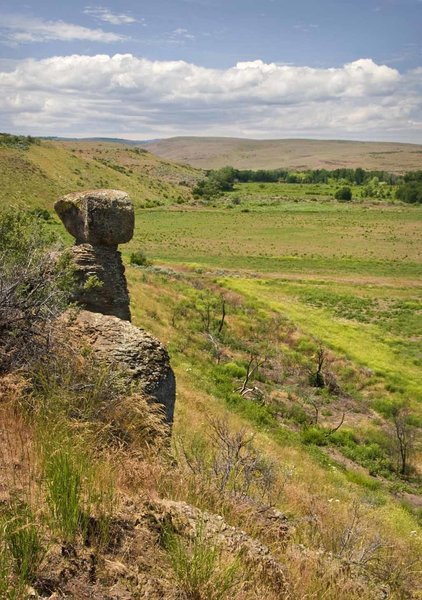 The Balanced Rock that gives the trail the name, looking out over the riparian meadow.