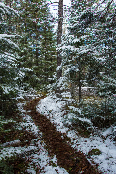 The singletrack.