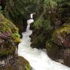 Avalanche Creek carving its way towards McDonald Creek.