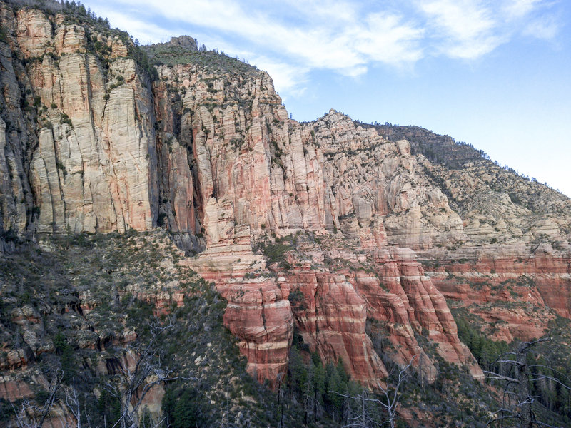 Looking back at the imposing sandstone cliffs of Oak Creek Canyon while on the North Wilson Trail.