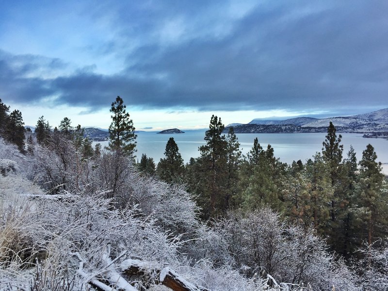 Overlooking Klamath Lake and Buck Island along the Klamath Ridgeview Trail during a heavy frost mid-November.