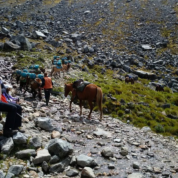 No cars out here - things move via pack animal while on the Salkantay Trail.  Here, it's propane.  The horses are not roped together, so give them lots of room.