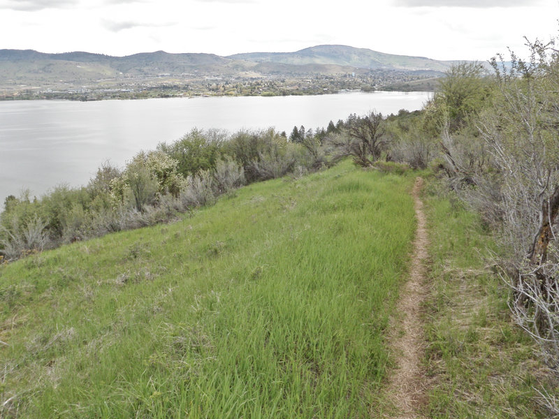 Klamath Ridgeview Trail